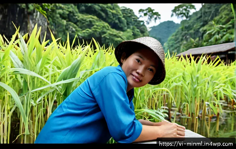 Ví dụ áp dụng kinh tế học tối giản: Cách giảm chi phí mà không làm giảm chất lượng sống 4 미니멀리즘 경제학의 실천 사례 관련 이미지 2
